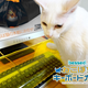 Image for article titled Protect Your Keyboard From Cats